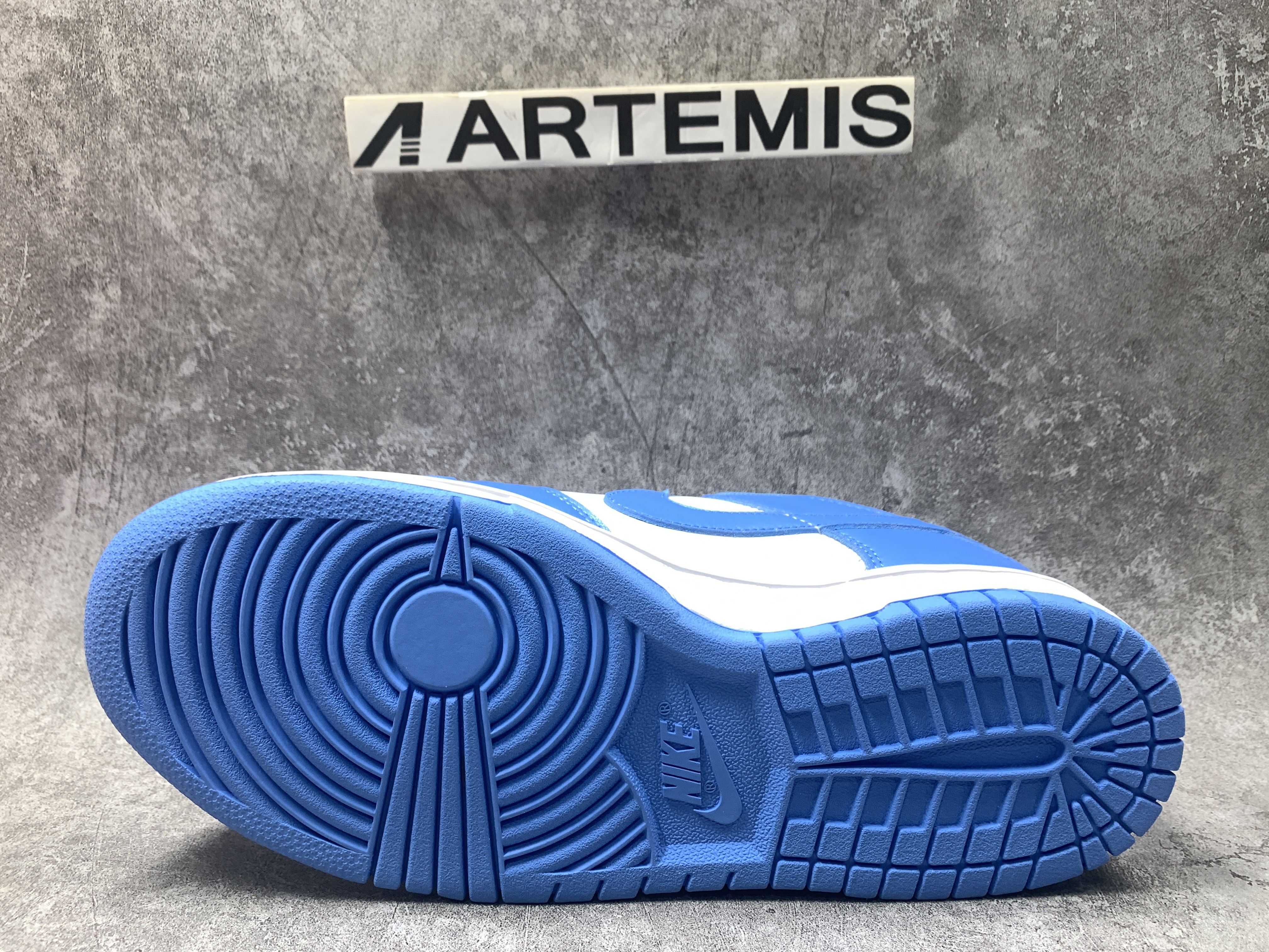 Nike Dunk Low UNC (2021)