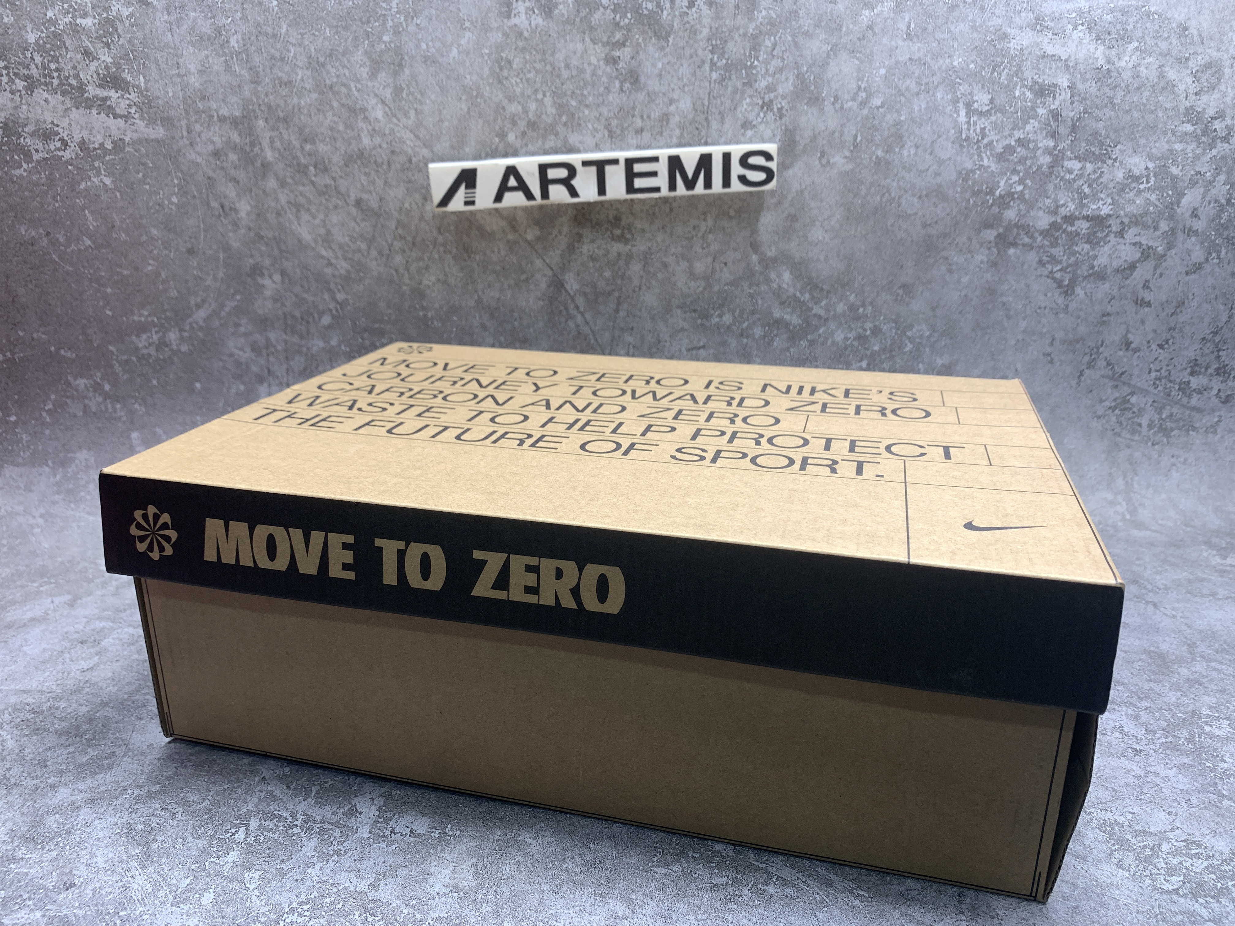 Nike Dunk Low Move To Zero Sail